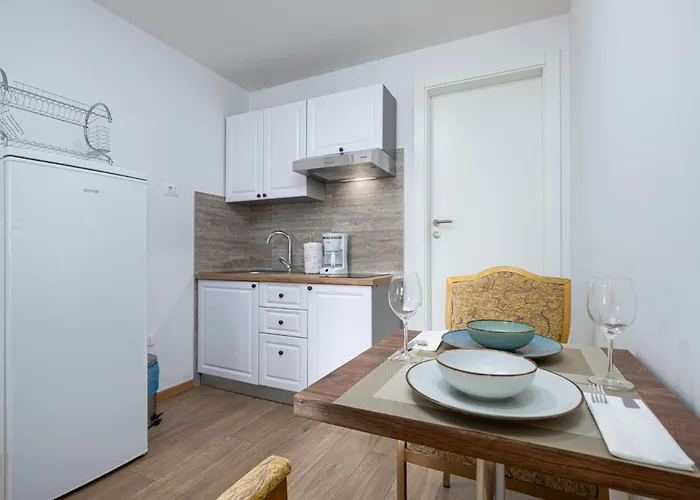 Premium Vergottini *