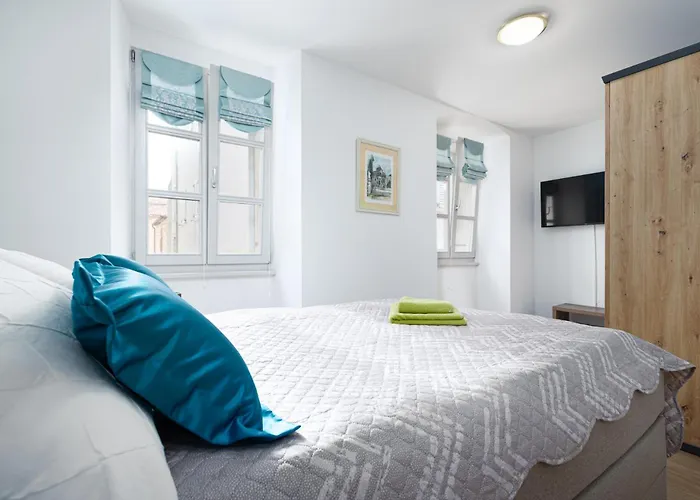 Premium Vergottini פורץ